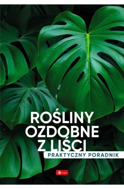 Rośliny ozdobne z liści. Poradnik praktyczny