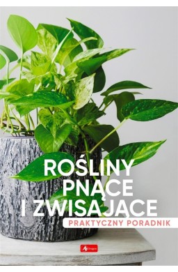 Rośliny pnące i zwisające. Poradnik praktyczny