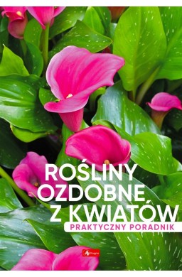 Rośliny ozdobne z kwiatów. Poradnik praktyczny