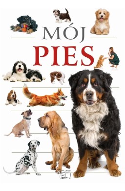 Mój pies