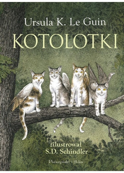 Kotolotki