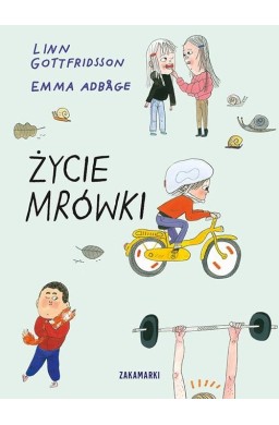 Życie Mrówki