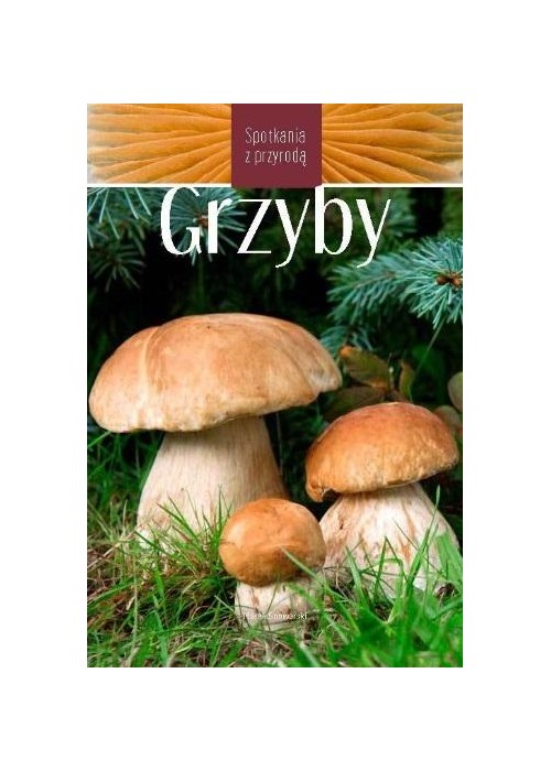 Grzyby. Spotkania z przyrodą