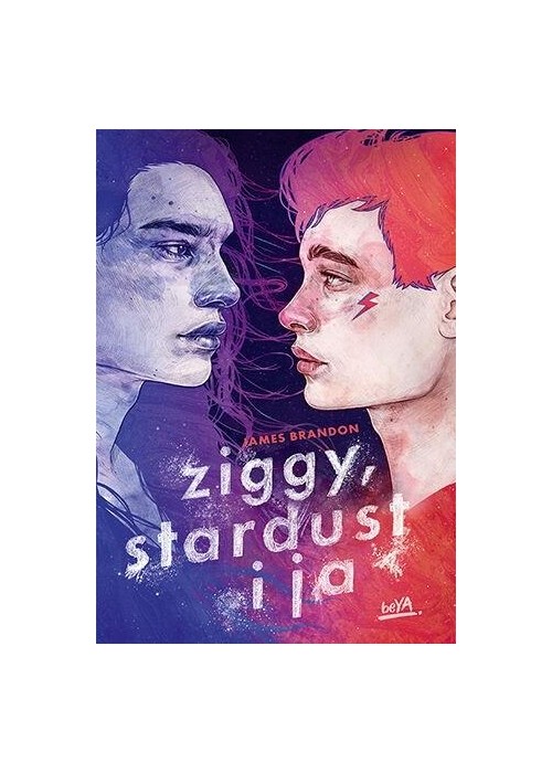 Ziggy, Stardust i ja