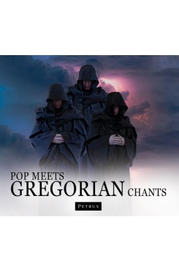 Pop Meets Gregorian Chants audiobook