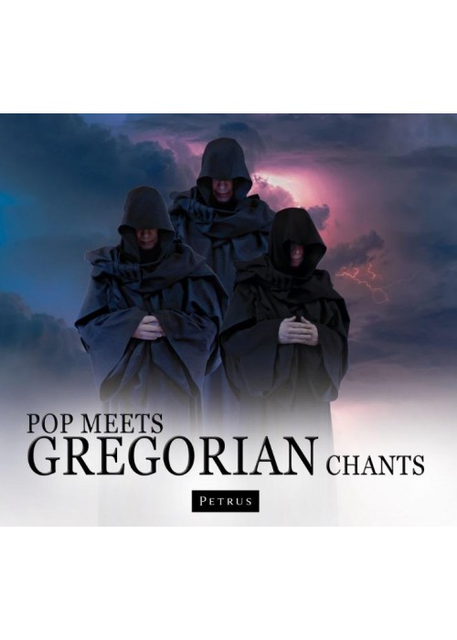 Pop Meets Gregorian Chants audiobook