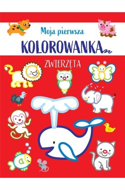 Moja pierwsza kolorowanka. Zwierzęta