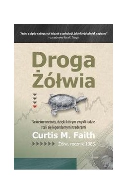 Droga Żółwia