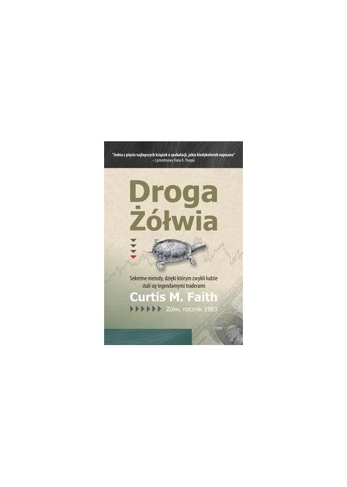 Droga Żółwia