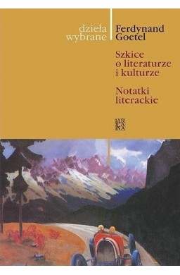 Dzieła wybrane T.9 Szkice o literaturze i..