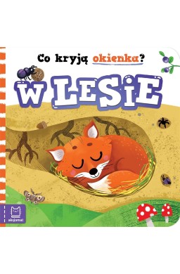 Co kryją okienka? W lesie