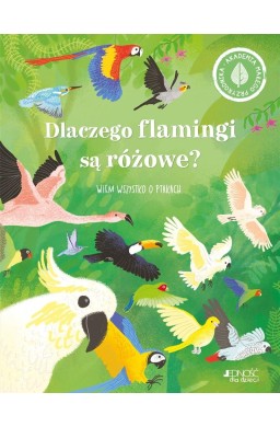 Dlaczego flamingi są różowe? Wiem wszystko o..