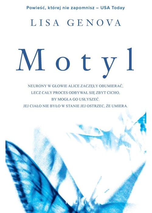 Motyl Motyl