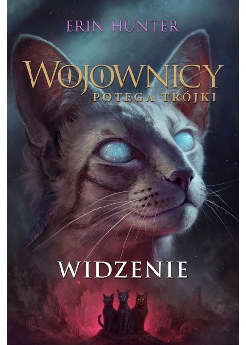 Wojownicy T.13 Widzenie Wojownicy T.13 Widzenie