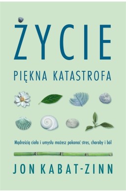 Życie, piękna katastrofa