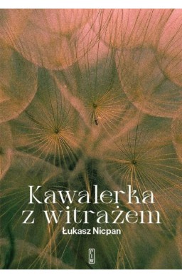 Kawalerka z witrażem