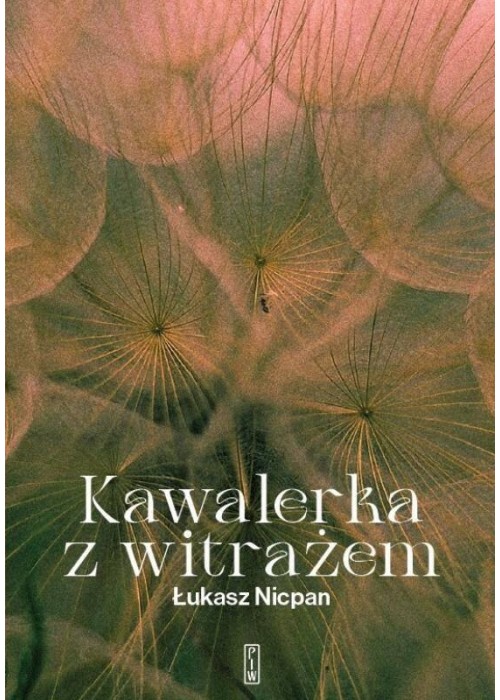 Kawalerka z witrażem
