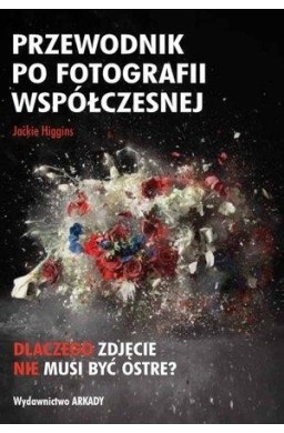 Przewodnik po fotografii współczesnej