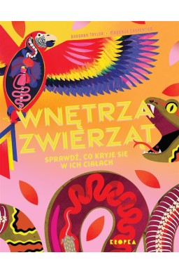 Wnętrza zwierząt