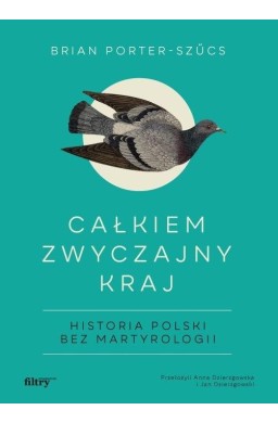 Całkiem zwyczajny kraj. Historia Polski bez..