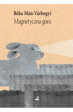 Magnetyczna góra