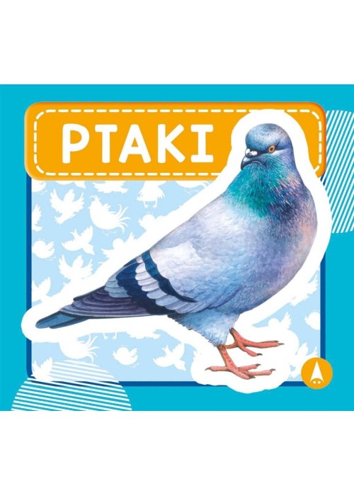 Ptaki