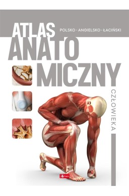 Atlas anatomiczny człowieka