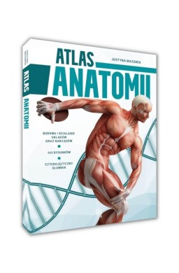 Atlas anatomii