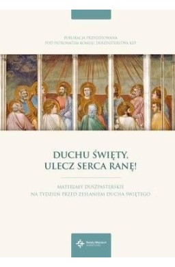 Duchu Święty, ulecz serca ranę!
