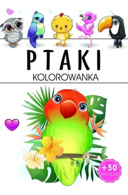 Ptaki - kolorowanka