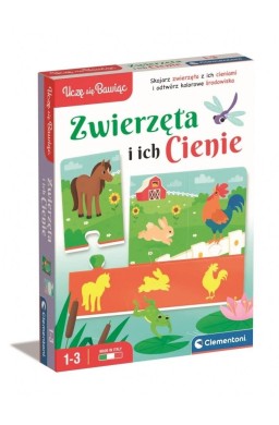 Uczę się bawiąc. Zwierzęta i ich cienie