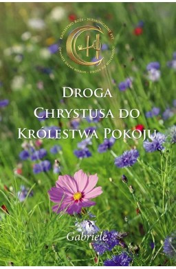 Droga Chrystusa do Królestwa Pokoju