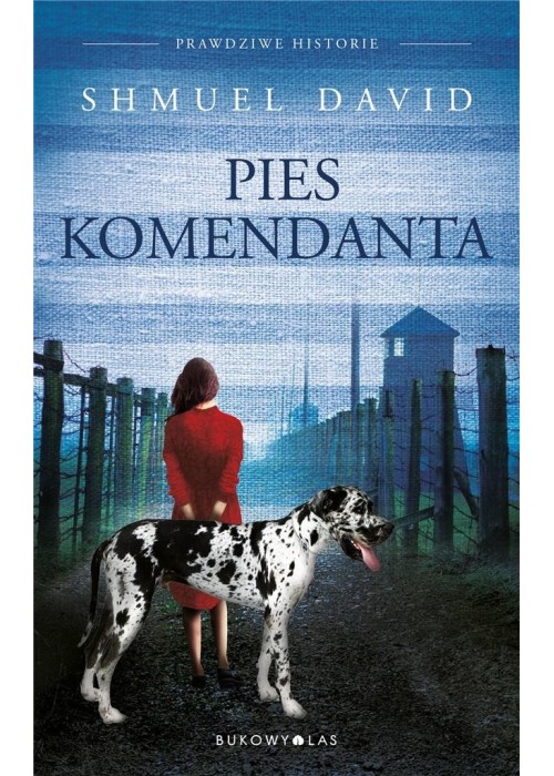 Pies komendata
