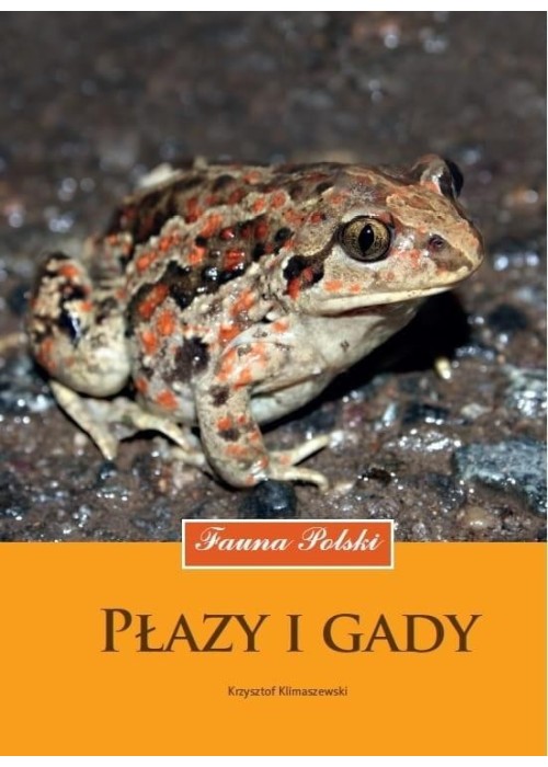 Płazy i gady. Fauna Polski