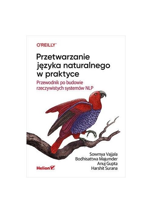 Przetwarzanie języka naturalnego w praktyce