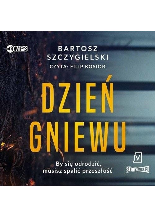 Dzień gniewu audiobook