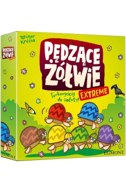 Pędzące Żółwie Extreme