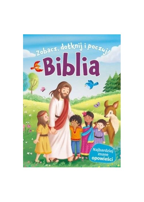 Biblia. Zobacz, dotknij, poczuj!