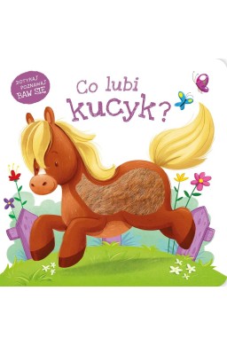 Co lubi kucyk?