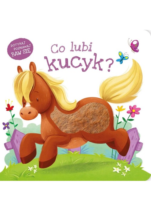 Co lubi kucyk?