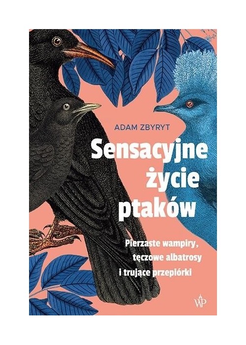 Sensacyjne życie ptaków