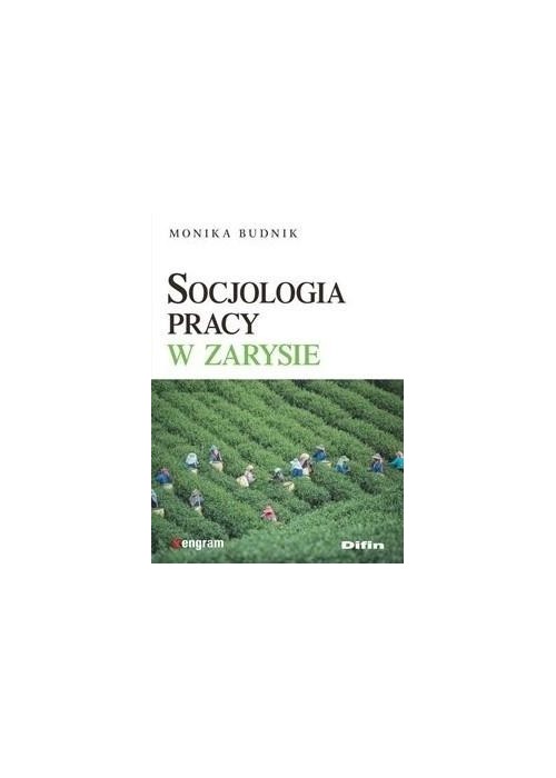 Socjologia pracy w zarysie