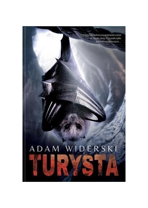 Turysta