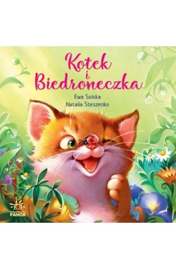 Kotek i biedroneczka