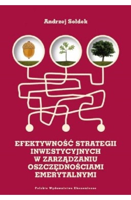 Efektywność strategii inwestycyjnych...