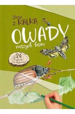 Owady naszych lasów. Zeszyt z kalką