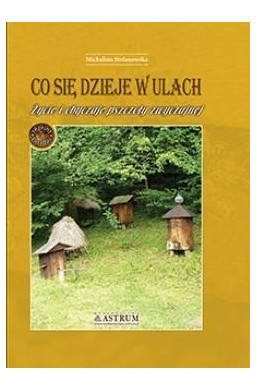 Co się dzieje w ulach