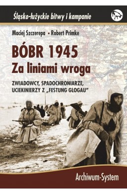 Bóbr 1945. Za liniami wroga TW