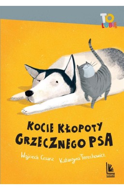 Kocie kłopoty Grzecznego psa