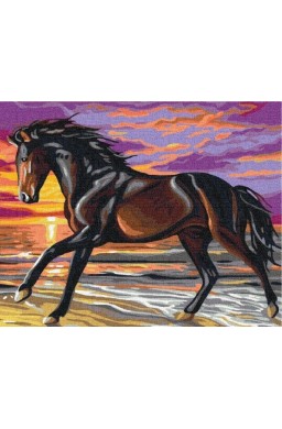 Malowanie po numerach Koń w biegu 40x50cm